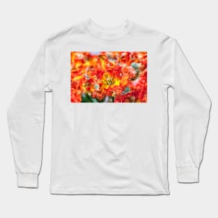 Close up of orange tulip Long Sleeve T-Shirt